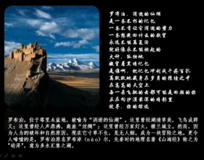 混乱特工